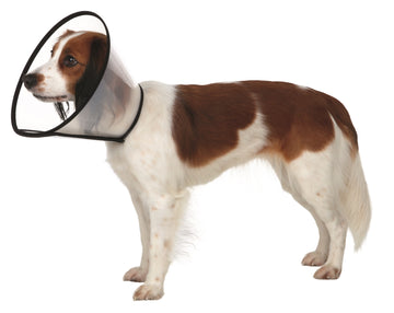 Trixie Protective Elizabeth Collar With Velcro